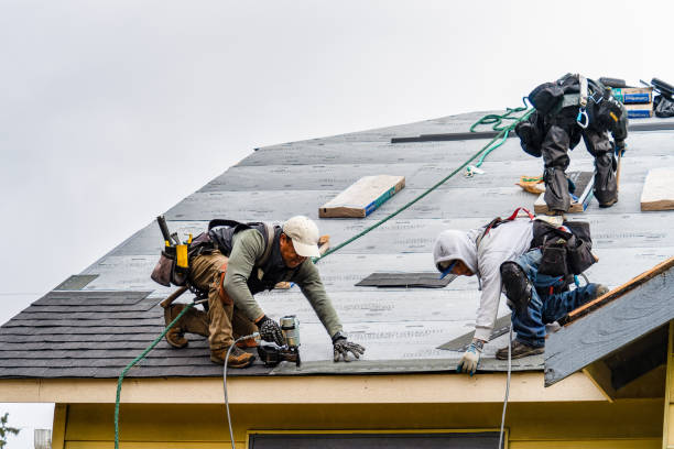Professional Gutter Installation technician working in King William, VA